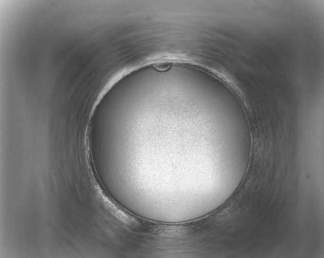 X0000078891382200611271341