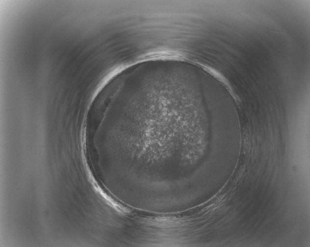 X0000078891383200611271341