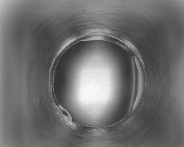 X0000078891384200611271341