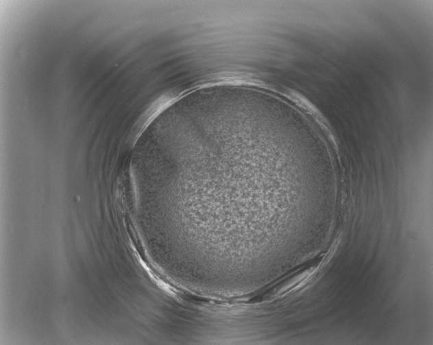 X0000078891385200611271341