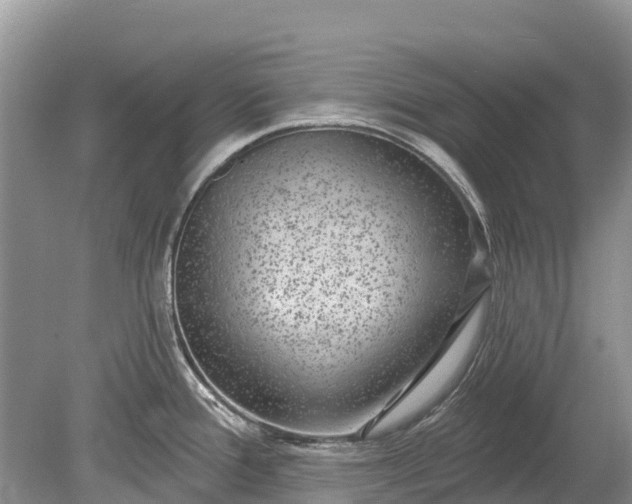 X0000078891388200611271341