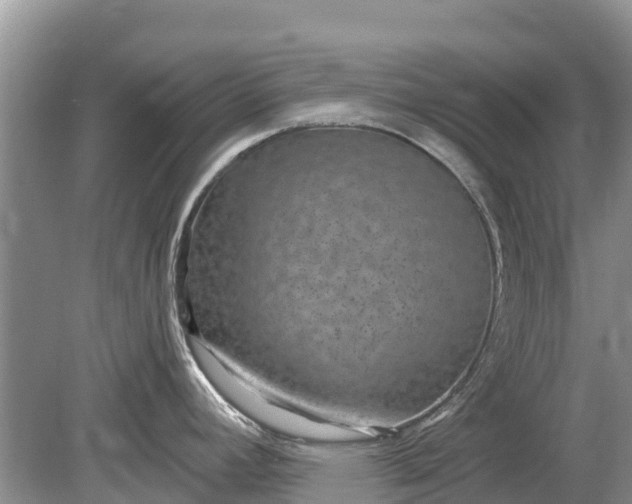 X0000078891392200611271341