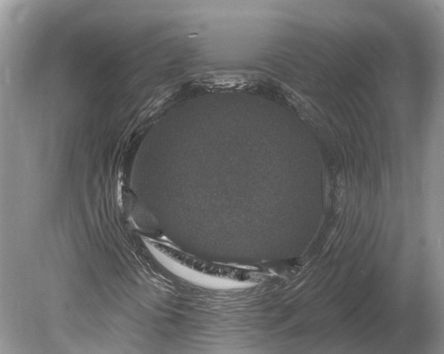 X0000078891394200611271340