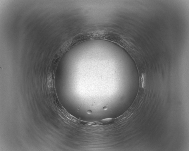 X0000078891395200611271340