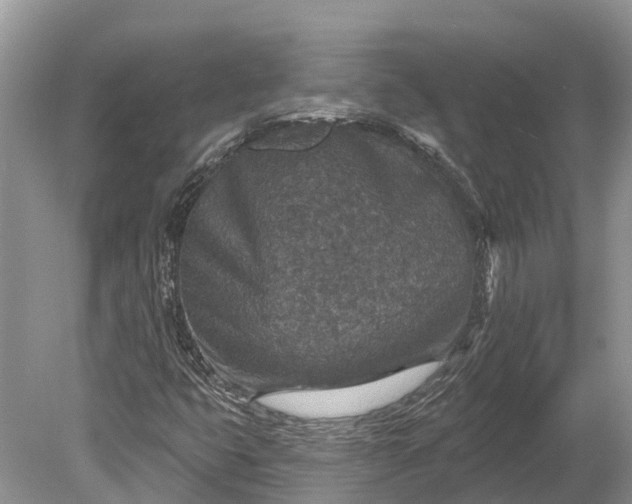 X0000078891399200611271340