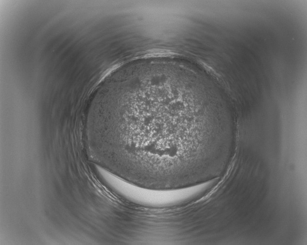 X0000078891401200611271341