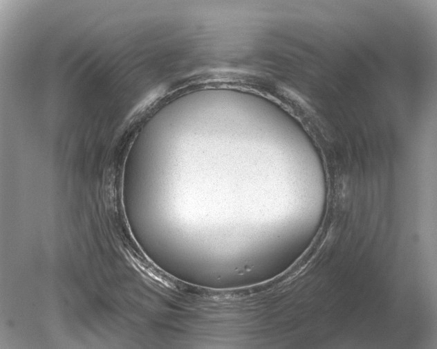 X0000078891403200611271341