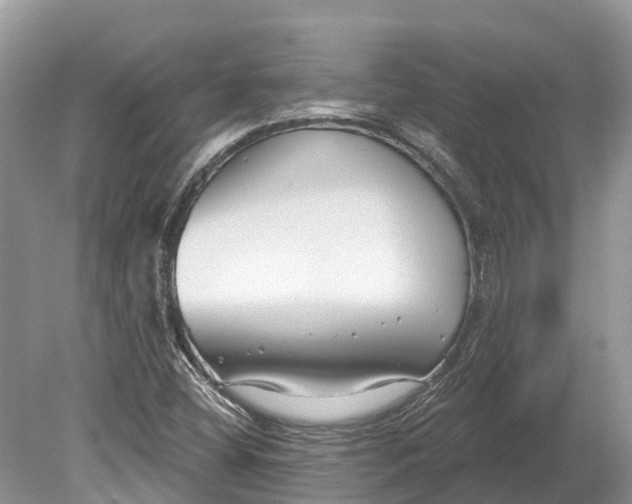 X0000078891404200611271341