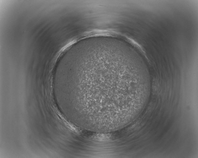 X0000078891411200611271341