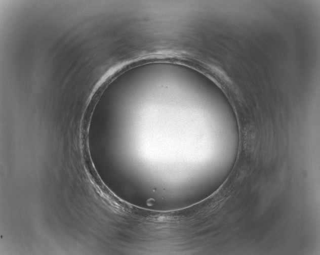 X0000078891412200611271341