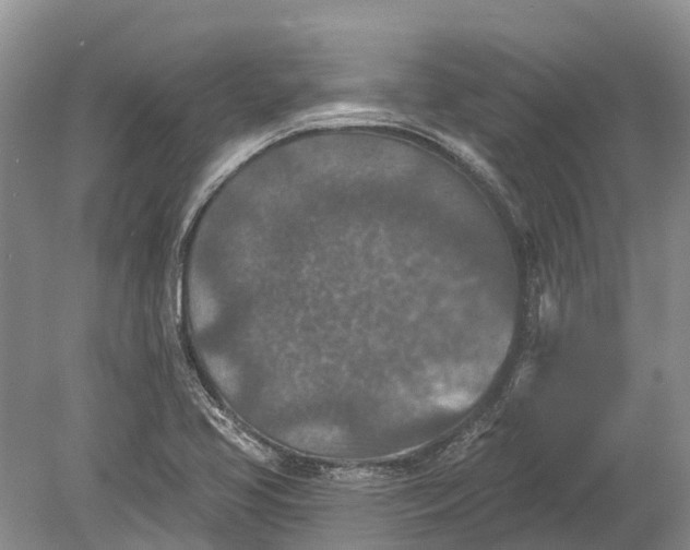 X0000078891413200611271341