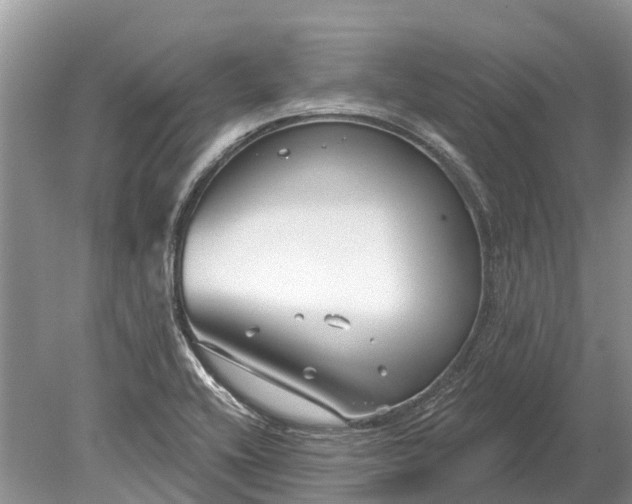 X0000078891416200611271341