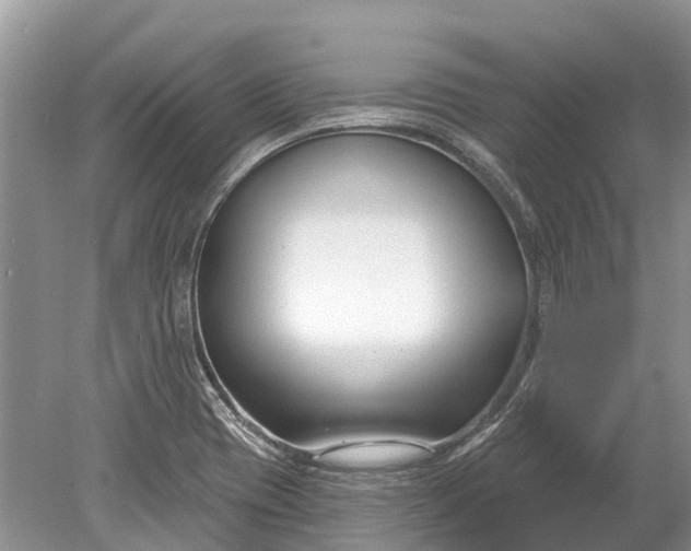 X0000078891417200611271341