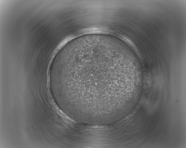 X0000078891419200611271341