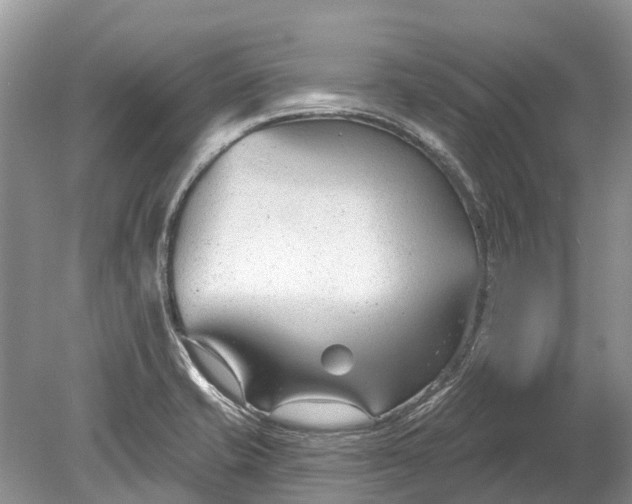 X0000078891421200611271341