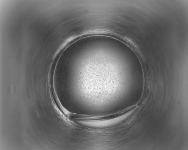 X0000078891422200611271341