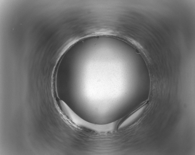 X0000078891423200611271341