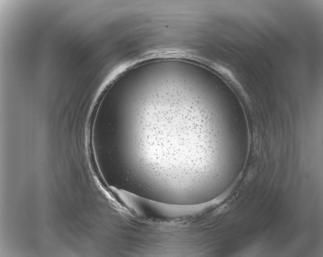 X0000078891424200611271341