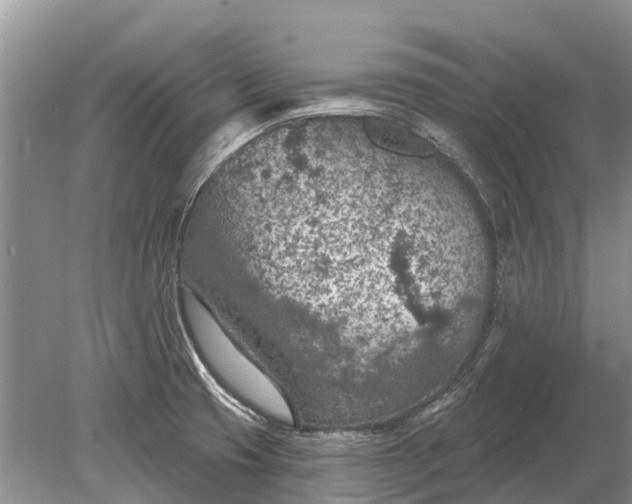 X0000078891425200611271341