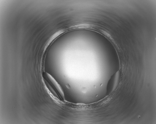 X0000078891426200611271341