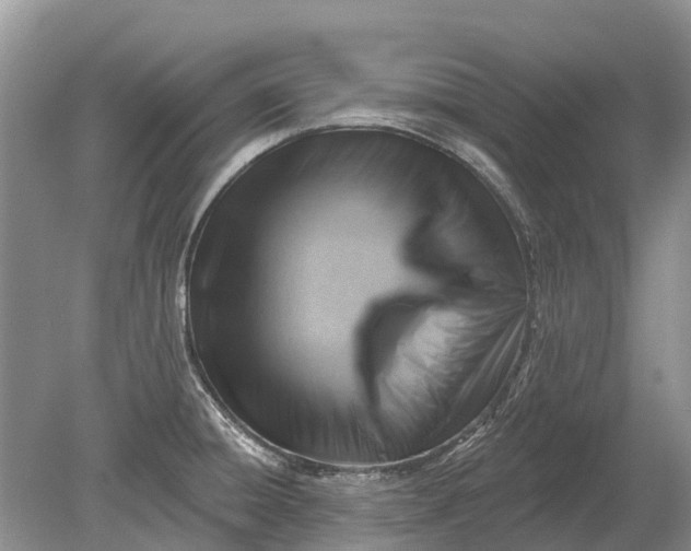 X0000078891428200611271341