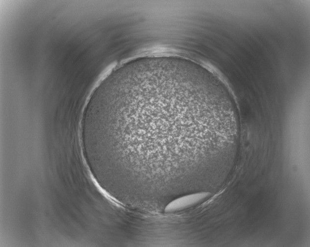 X0000078891429200611271341