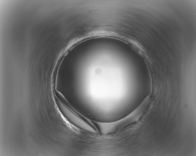 X0000078891430200611271341