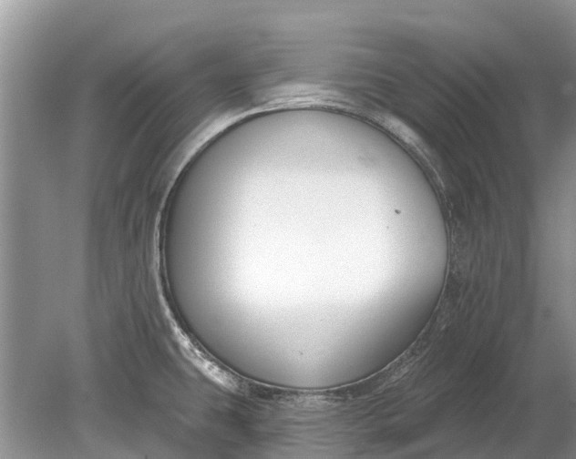 X0000078891431200611271341