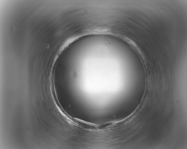 X0000078891432200611271341