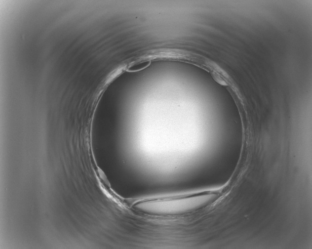 X0000078891433200611271341