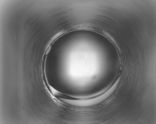 X0000078891434200611271341