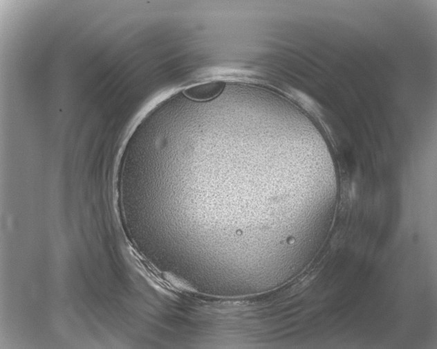 X0000078891435200611271341