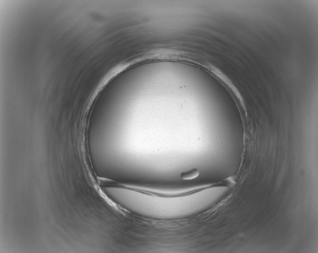 X0000078891437200611271341