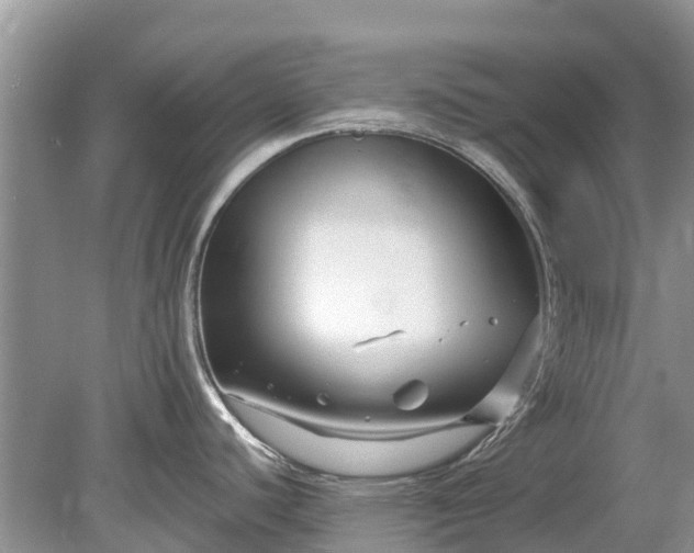 X0000078891440200611271341