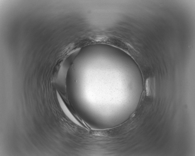 X0000078891443200611271340