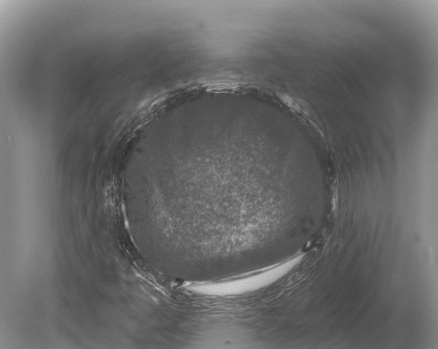 X0000078891445200611271340