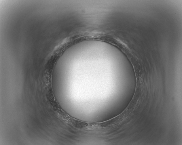 X0000078891447200611271340