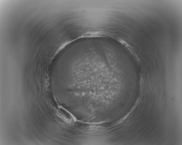 X0000078891449200611271340