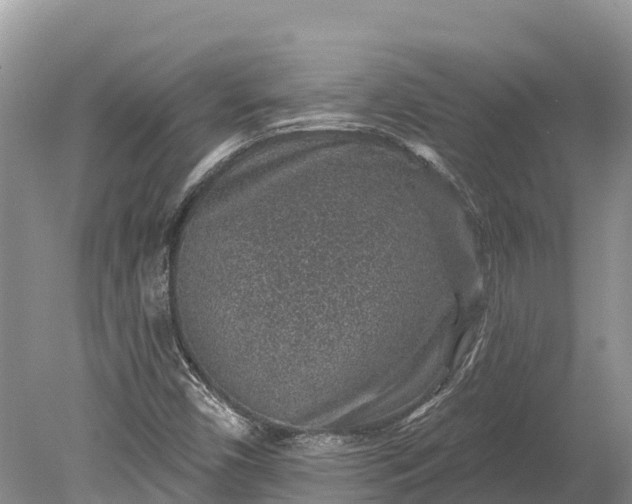 X0000078891450200611271340