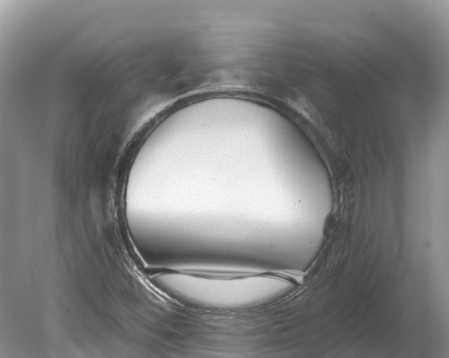 X0000078891452200611271340