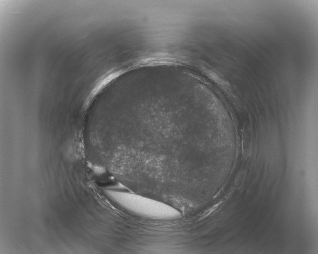 X0000078891453200611271340