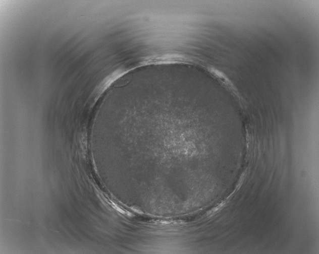 X0000078891457200611271340