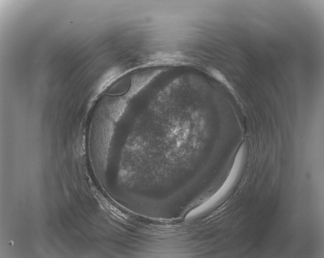 X0000078891459200611271340