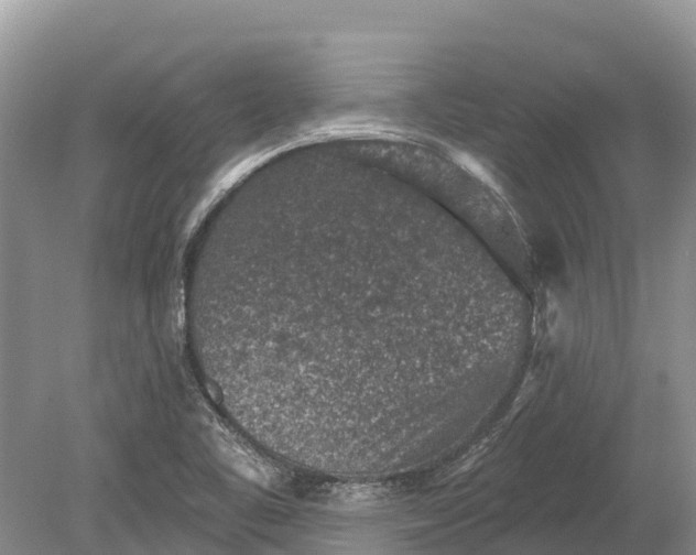 X0000078891461200611271340