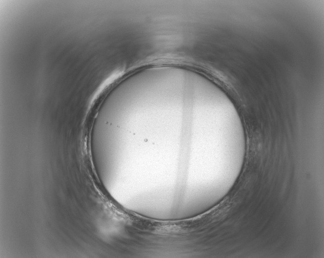 X0000078891462200611271340