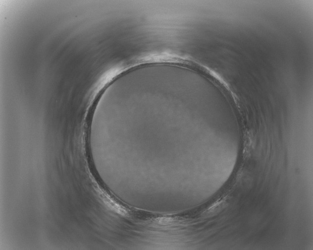 X0000078891463200611271340