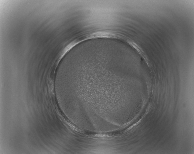 X0000078891465200611271340