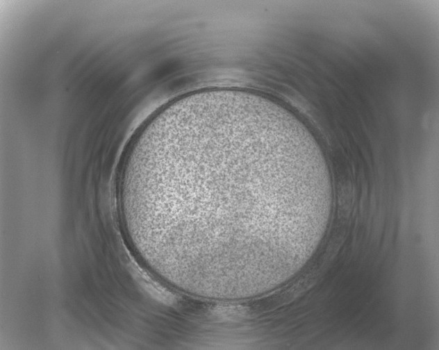 X0000078891466200611271340