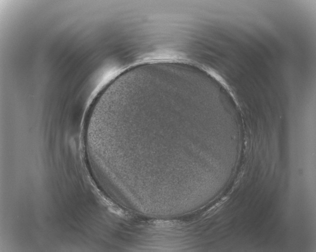 X0000078891469200611271340