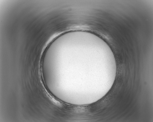 X0000078891470200611271340